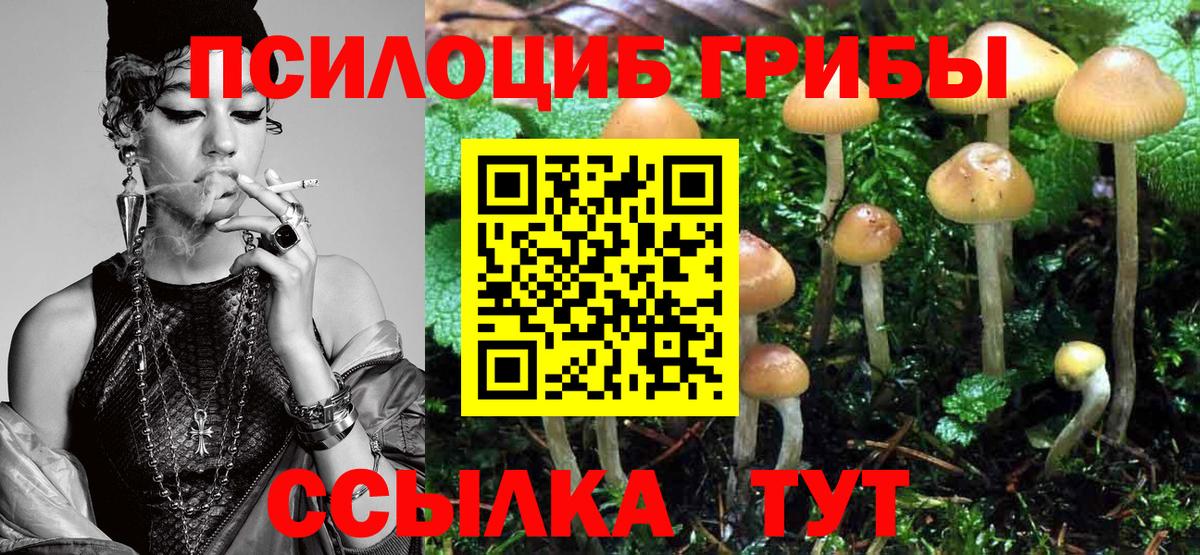 Псилоцибиновые грибы мицелий Скопин