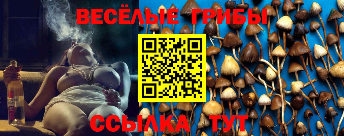 Псилоцибиновые грибы прущие грибы  Вход с VPN  Скопин 